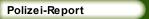 Polizei-Report 